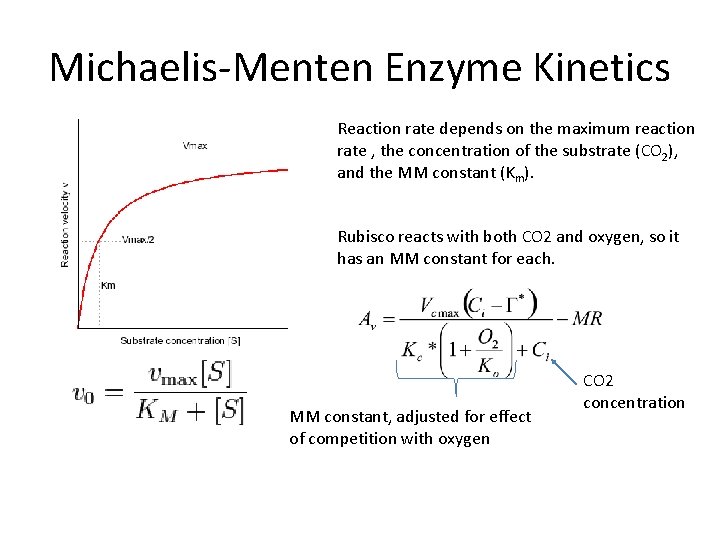 Michaelis-Menten Enzyme Kinetics Reaction rate depends on the maximum reaction rate , the concentration