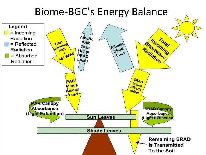 Biome-BGC’s Energy Balance 
