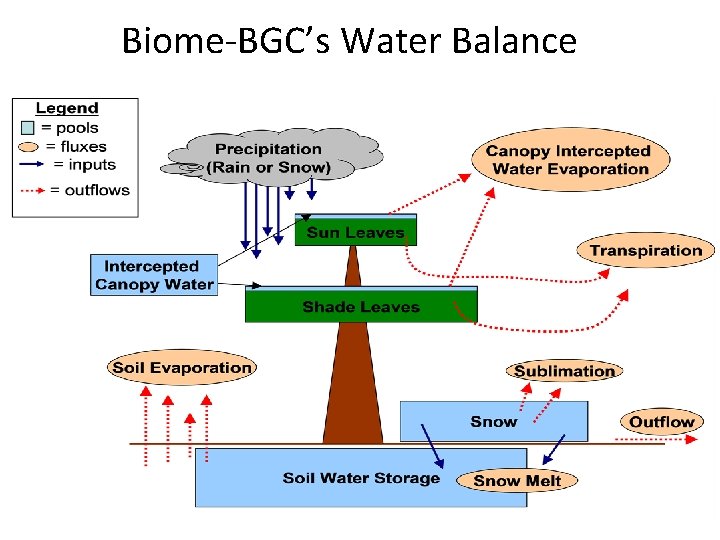 Biome-BGC’s Water Balance 