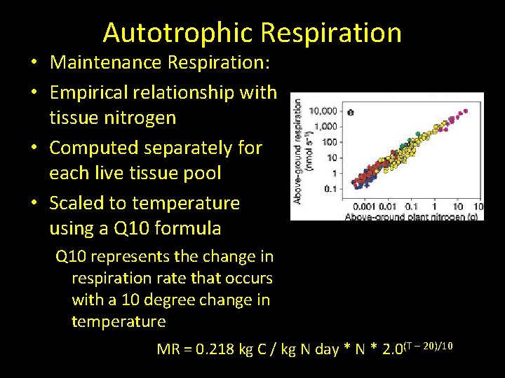 Autotrophic Respiration • Maintenance Respiration: • Empirical relationship with tissue nitrogen • Computed separately