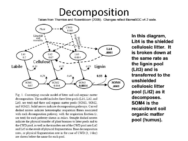 Decomposition Labile Cellulose Lignin 