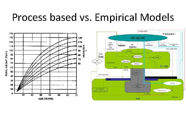 Process based vs. Empirical Models 