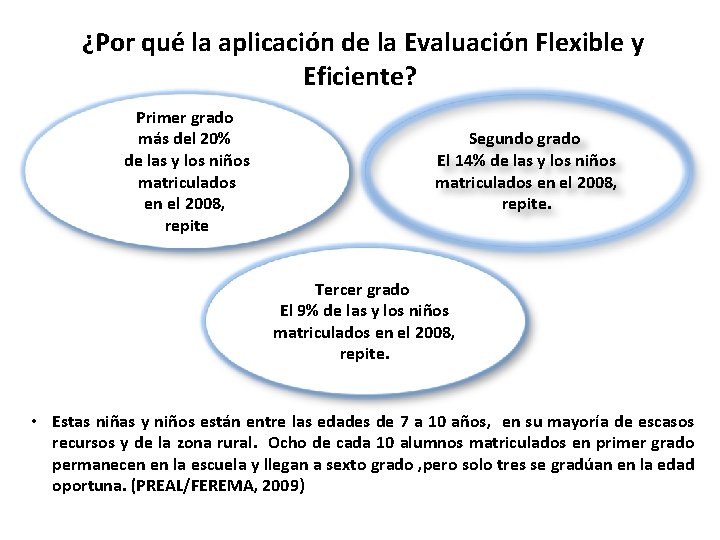 ¿Por qué la aplicación de la Evaluación Flexible y Eficiente? Primer grado más del