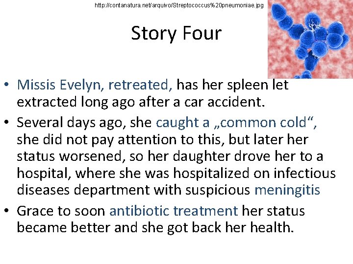 http: //contanatura. net/arquivo/Streptococcus%20 pneumoniae. jpg Story Four • Missis Evelyn, retreated, has her spleen