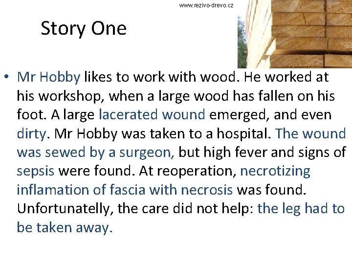 www. rezivo-drevo. cz Story One • Mr Hobby likes to work with wood. He