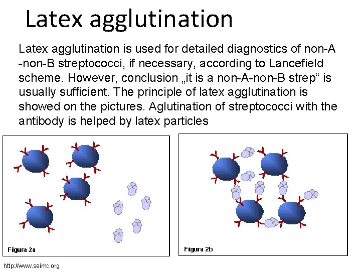 Latex agglutination is used for detailed diagnostics of non-A -non-B streptococci, if necessary, according
