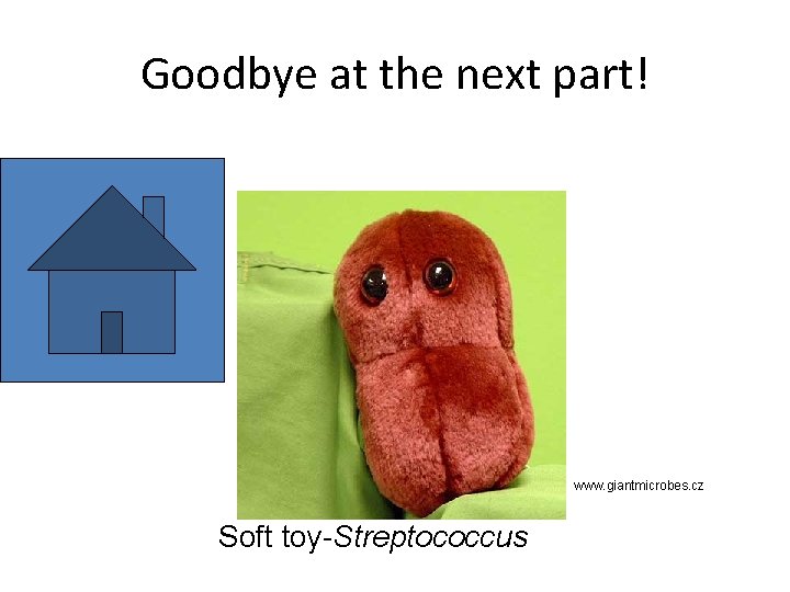 Goodbye at the next part! www. giantmicrobes. cz Soft toy-Streptococcus 