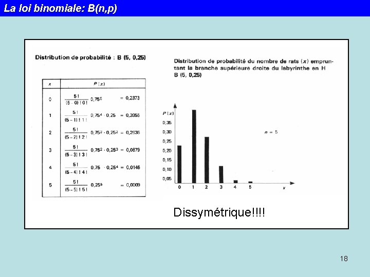 La loi binomiale: B(n, p) Dissymétrique!!!! 18 