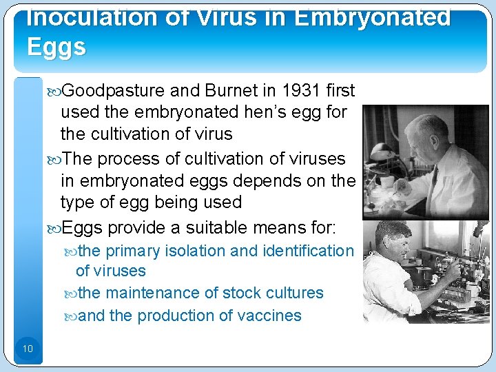 Inoculation of Virus in Embryonated Eggs Goodpasture and Burnet in 1931 first used the