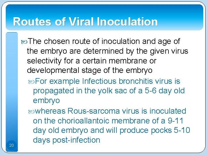Routes of Viral Inoculation The chosen route of inoculation and age of 20 the Routes of Viral Inoculation The chosen route of inoculation and age of 20 the