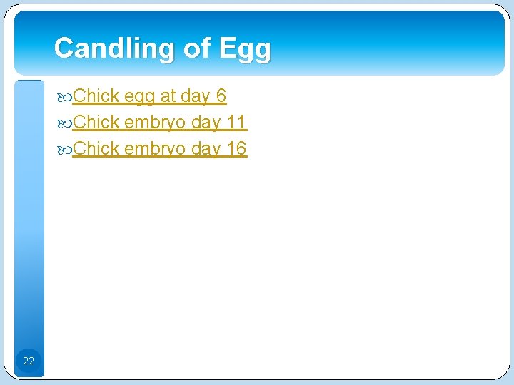 Candling of Egg Chick egg at day 6 Chick embryo day 11 Chick embryo