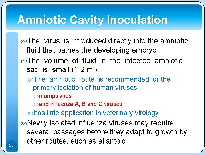 Amniotic Cavity Inoculation The virus is introduced directly into the amniotic fluid that bathes Amniotic Cavity Inoculation The virus is introduced directly into the amniotic fluid that bathes