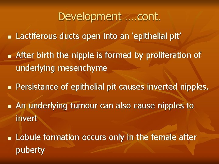 Development …. cont. n n n Lactiferous ducts open into an ‘epithelial pit’ After