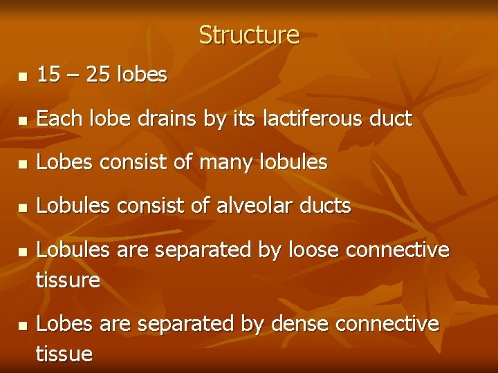 Structure n 15 – 25 lobes n Each lobe drains by its lactiferous duct