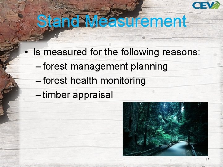 Stand Measurement • Is measured for the following reasons: – forest management planning –