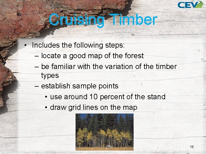 Cruising Timber • Includes the following steps: – locate a good map of the