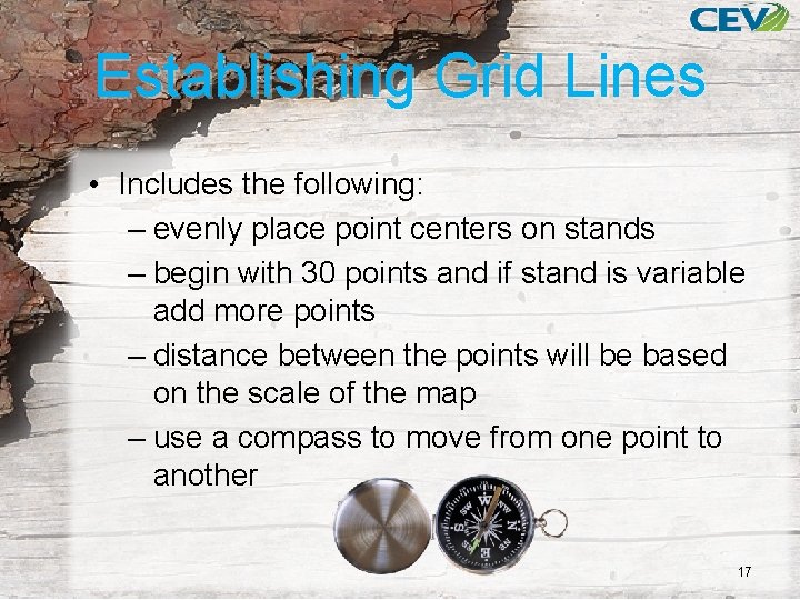 Establishing Grid Lines • Includes the following: – evenly place point centers on stands