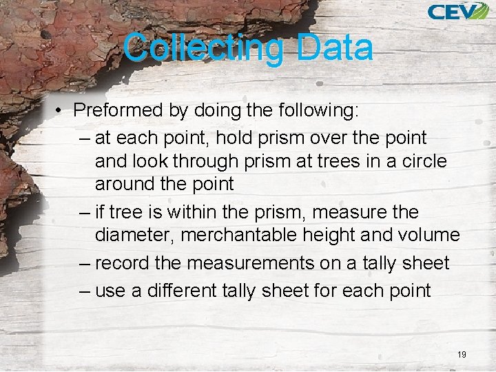 Collecting Data • Preformed by doing the following: – at each point, hold prism