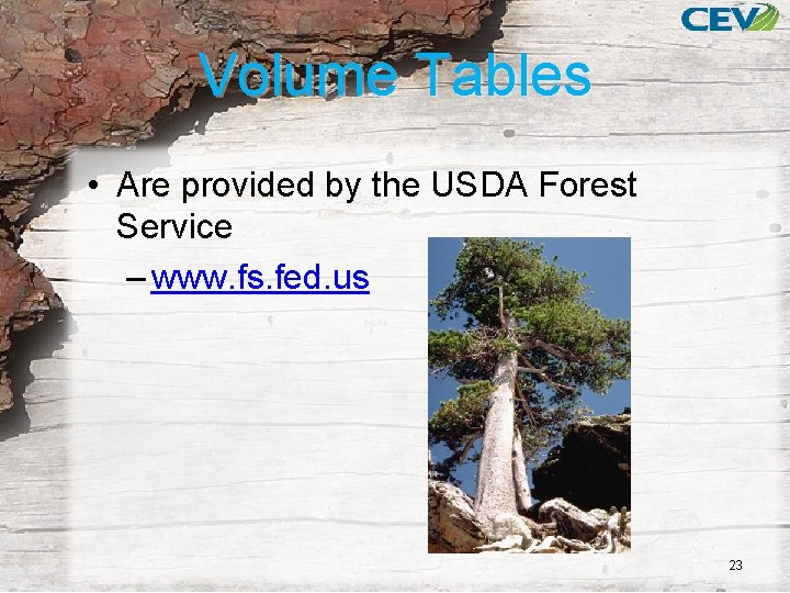 Volume Tables • Are provided by the USDA Forest Service – www. fs. fed.