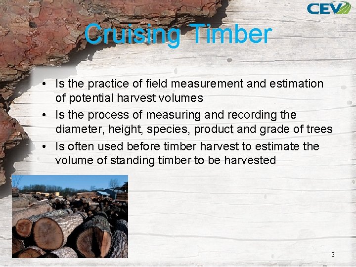 Cruising Timber • Is the practice of field measurement and estimation of potential harvest