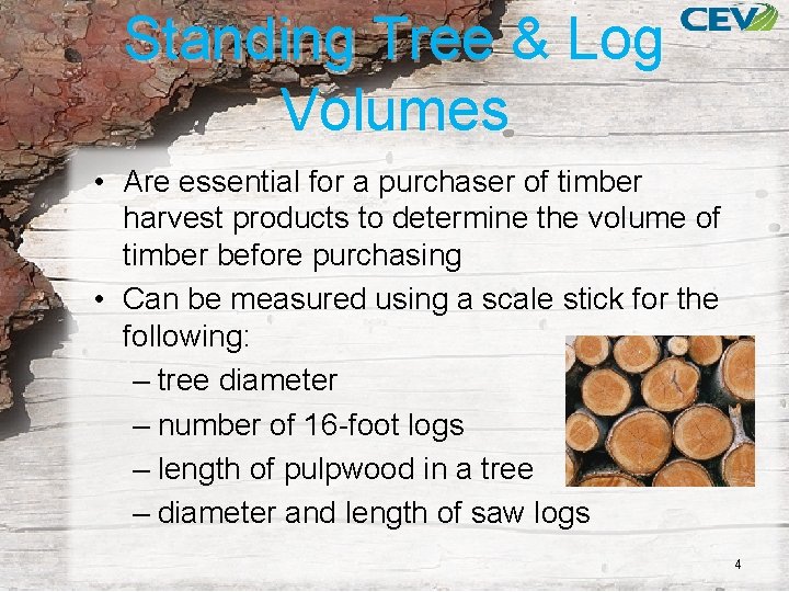 Standing Tree & Log Volumes • Are essential for a purchaser of timber harvest