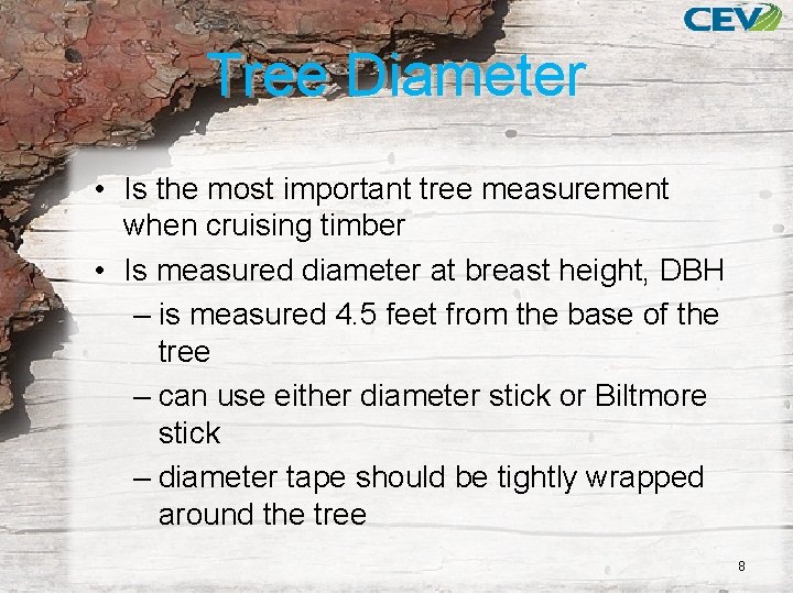 Tree Diameter • Is the most important tree measurement when cruising timber • Is
