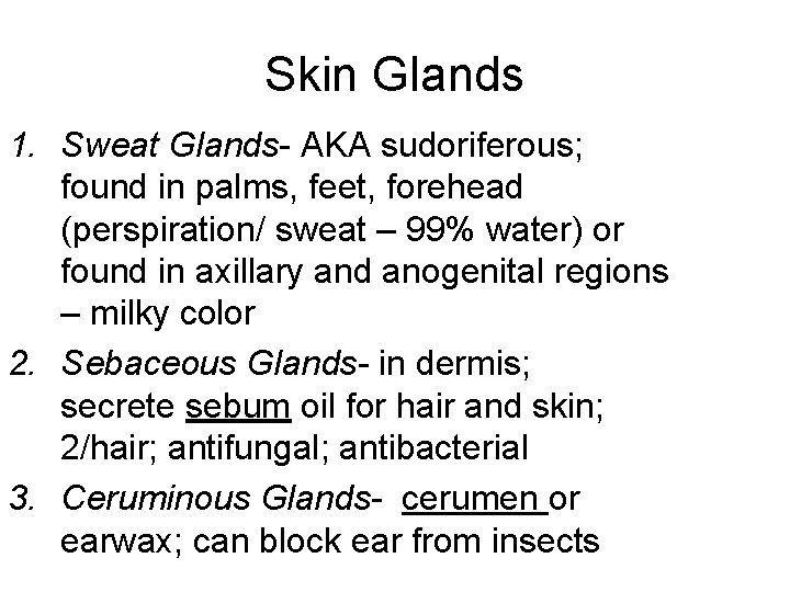 Skin Glands 1. Sweat Glands- AKA sudoriferous; found in palms, feet, forehead (perspiration/ sweat