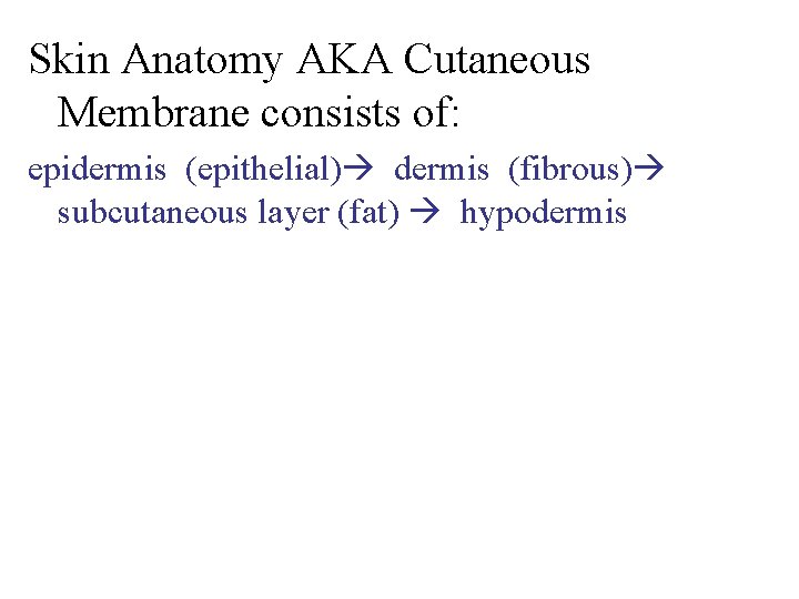 Skin Anatomy AKA Cutaneous Membrane consists of: epidermis (epithelial) dermis (fibrous) subcutaneous layer (fat)