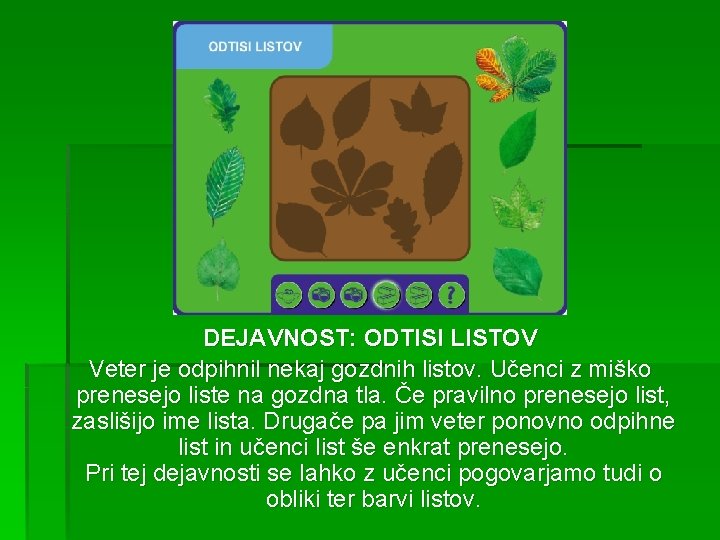 DEJAVNOST: ODTISI LISTOV Veter je odpihnil nekaj gozdnih listov. Učenci z miško prenesejo liste