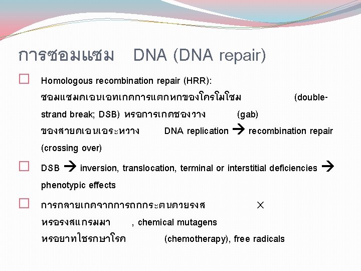 การซอมแซม DNA (DNA repair) � Homologous recombination repair (HRR): ซอมแซมดเอนเอทเกดการแตกหกของโครโมโซม (doublestrand break; DSB) หรอการเกดชองวาง