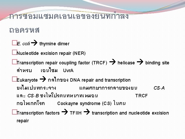 การซอมแซมดเอนเอของยนทกำลง ถอดรหส �E. coli thymine dimer �Nucleotide excision repair (NER) �Transcription repair coupling factor