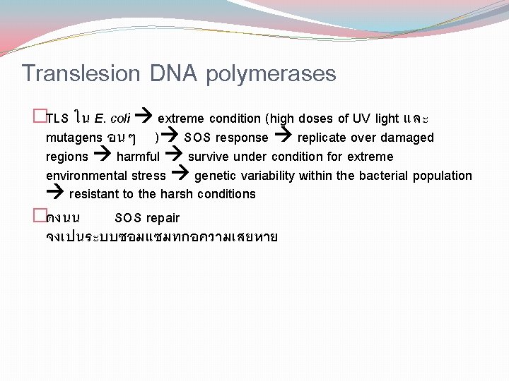 Translesion DNA polymerases �TLS ใน E. coli extreme condition (high doses of UV light