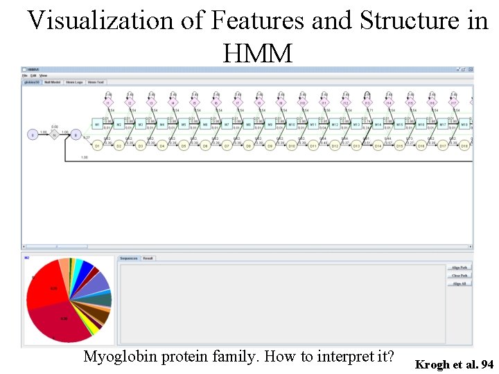 Visualization of Features and Structure in HMM Myoglobin protein family. How to interpret it?