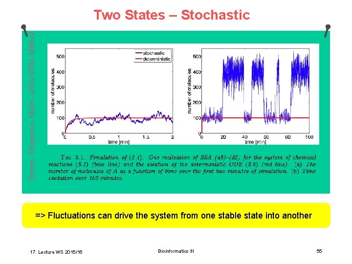 Erban, Chapman, Maini, ar. Xiv: 0704. 1908 v 2 Two States – Stochastic =>