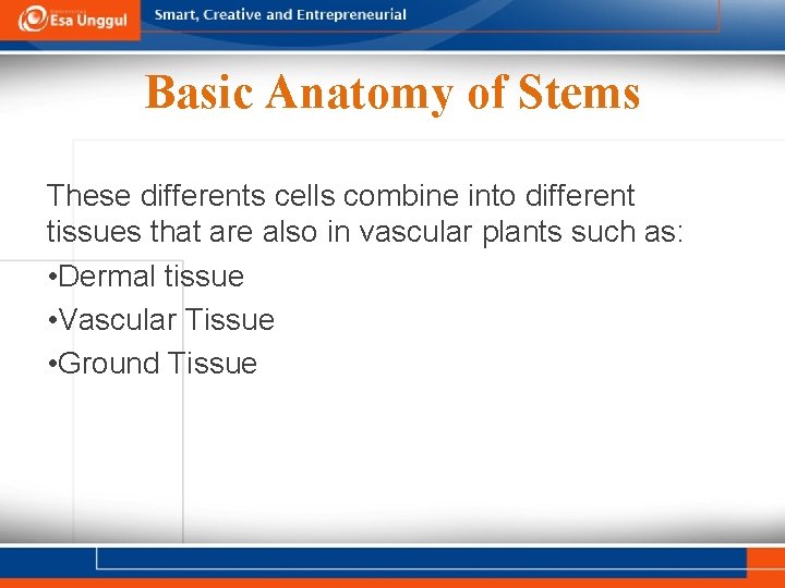 Basic Anatomy of Stems These differents cells combine into different tissues that are also