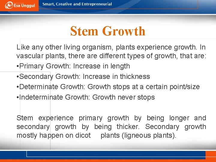Stem Growth Like any other living organism, plants experience growth. In vascular plants, there