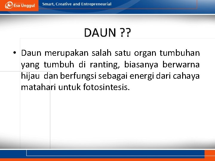 DAUN ? ? • Daun merupakan salah satu organ tumbuhan yang tumbuh di ranting,