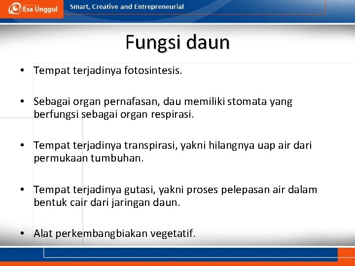 Fungsi daun • Tempat terjadinya fotosintesis. • Sebagai organ pernafasan, dau memiliki stomata yang