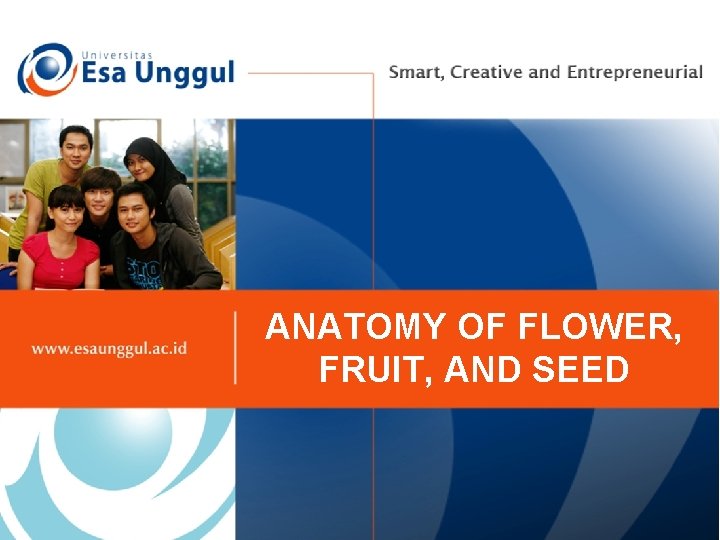 ANATOMY OF FLOWER, FRUIT, AND SEED 