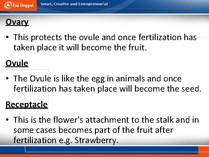 Ovary • This protects the ovule and once fertilization has taken place it will