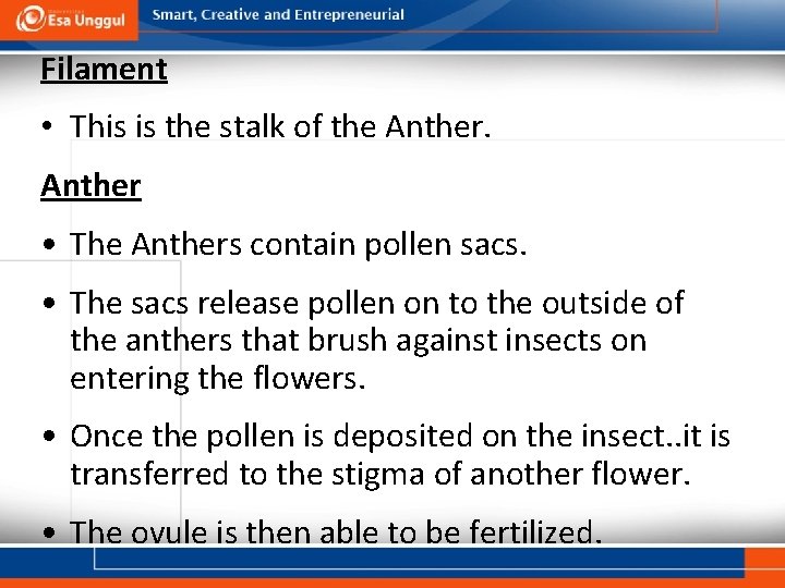 Filament • This is the stalk of the Anther • The Anthers contain pollen