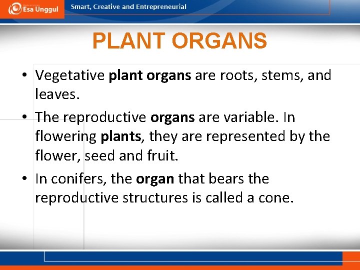 PLANT ORGANS • Vegetative plant organs are roots, stems, and leaves. • The reproductive