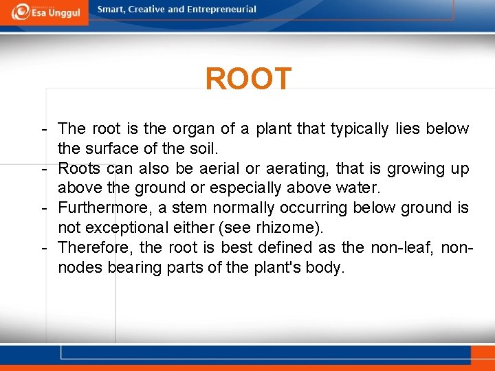 ROOT - The root is the organ of a plant that typically lies below