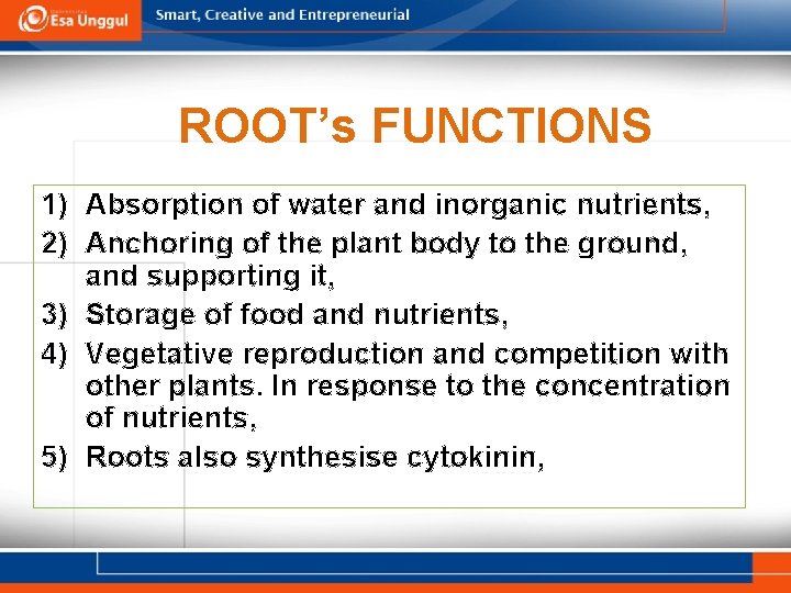 ROOT’s FUNCTIONS 1) Absorption of water and inorganic nutrients, 2) Anchoring of the plant
