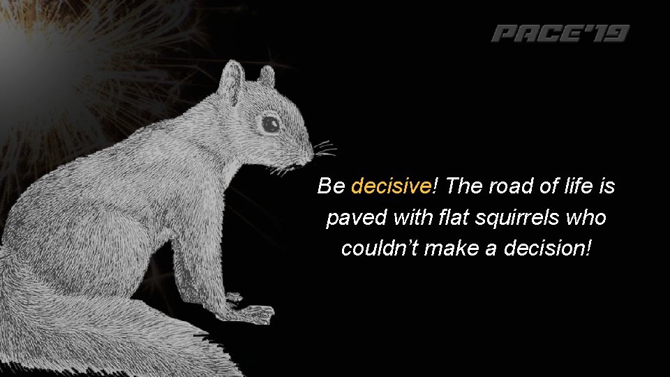 Be decisive! The road of life is paved with flat squirrels who couldn’t make