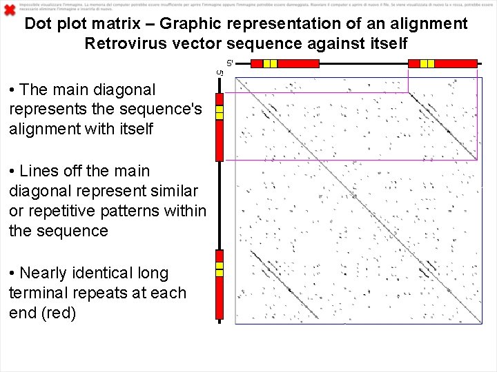 Dot plot matrix – Graphic representation of an alignment Retrovirus vector sequence against itself