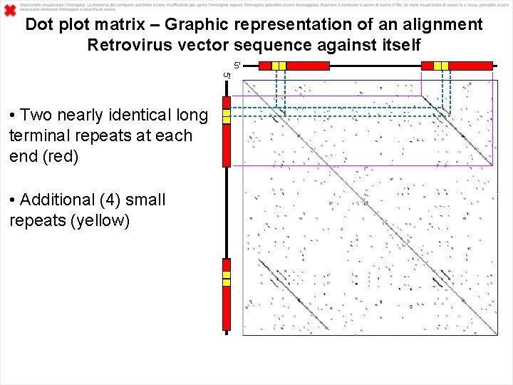 Dot plot matrix – Graphic representation of an alignment Retrovirus vector sequence against itself