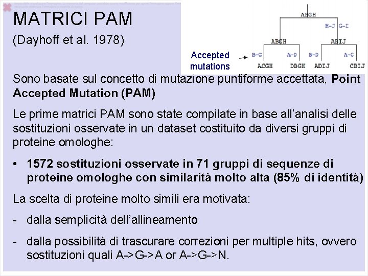 MATRICI PAM (Dayhoff et al. 1978) Accepted mutations Sono basate sul concetto di mutazione