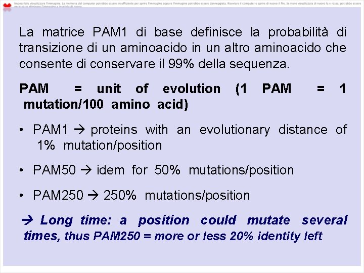 La matrice PAM 1 di base definisce la probabilità di transizione di un aminoacido