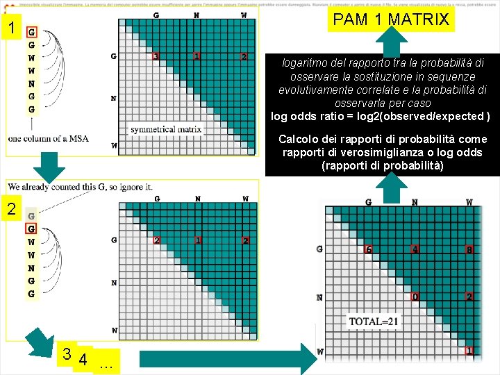 PAM 1 MATRIX 1 logaritmo del rapporto tra la probabilità di osservare la sostituzione